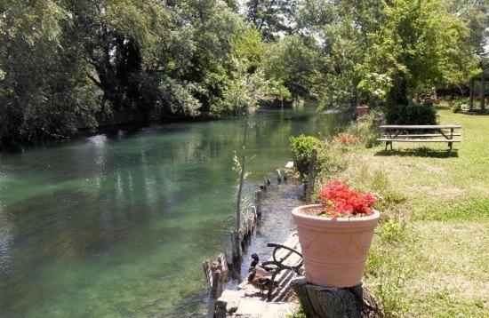 Mas Le Pont Des Aubes Bed & Breakfast L'Isle-sur-la-Sorgue Exterior photo